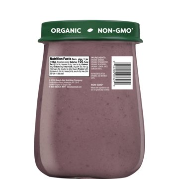 Beech-Nut Organics Stage 2 Baby Food - Banana Strawberry & Blueberry