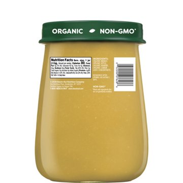 Beech-Nut Organics Stage 2 Baby Food - Mango Apple & Banana