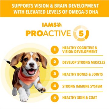 IAMS Proactive Health Healthy Puppy Food - Chicken & Whole Grain
