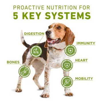 Purina ONE Whole Body Support Adult Dry Dog Food - Chicken
