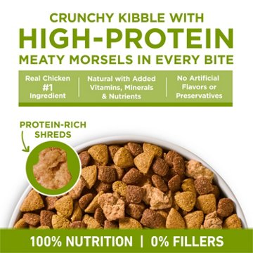 Purina ONE Whole Body Support Adult Dry Dog Food - Chicken