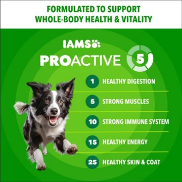 IAMS Proactive Health Adult Dog Food - Minichunks Chicken