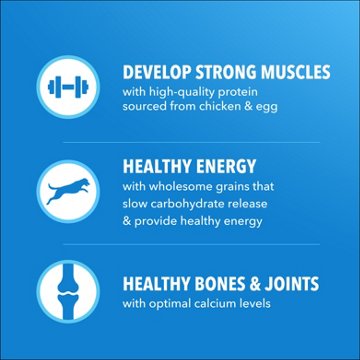 IAMS Proactive Health Healthy Weight Adult Dog Food - Chicken & Whole Grain