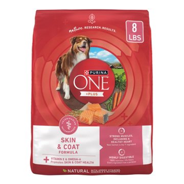 Purina ONE Skin & Coat Adult Dry Dog Food - Salmon