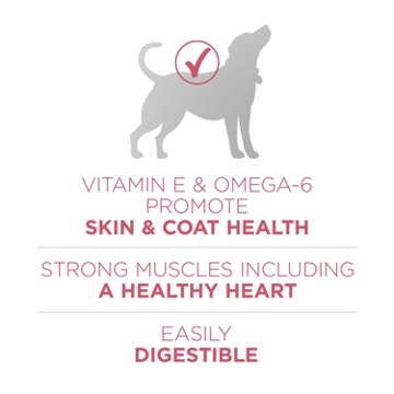 Purina ONE Skin & Coat Adult Dry Dog Food - Salmon