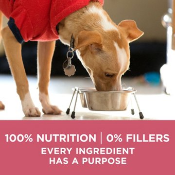 Purina ONE Skin & Coat Adult Dry Dog Food - Salmon