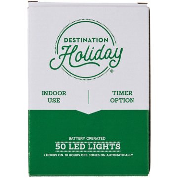 Destination Holiday Battery Operated Indoor LED Lights with Timer, 50 ct