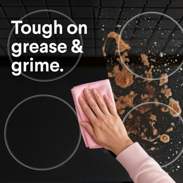 Clorox All Purpose Cleaner Spray - Spring Garden