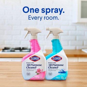 Clorox All Purpose Cleaner Spray - Spring Garden