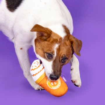 Woof & Whiskers Pumpkin Latte Dog Toy