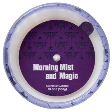Destination Holiday Halloween Spiders Marble Glass Candle - Morning Mist & Magic Scent