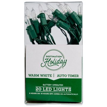 Destination Holiday Battery Operated Warm White LED Lights with Timer - Green Wire, 20 ct