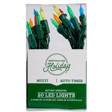 Destination Holiday Battery Operated Auto Timer Multi Color LED Lights, 20 ct