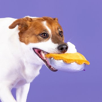 Woof & Whiskers Pumpkin Pie Dog Toy