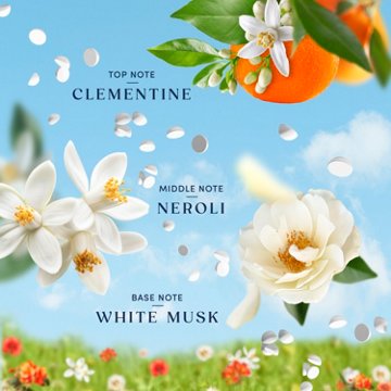Downy Boutique Botanicals In Wash Laundry Scent Booster Beads - CITREA Scent