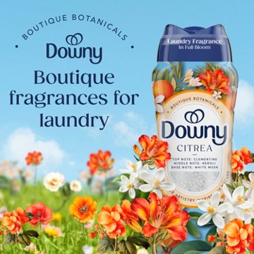 Downy Boutique Botanicals In Wash Laundry Scent Booster Beads - CITREA Scent