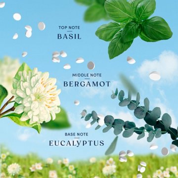 Downy Boutique Botanicals In Wash Laundry Scent Booster Beads - FOLIA Scent