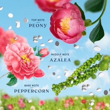 Downy Boutique Botanicals In Wash Laundry Scent Booster Beads - PEONIA Scent