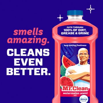 Mr. Clean All Purpose Cleaner - Watermelon