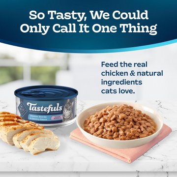 Blue Buffalo Tastefuls Wet Cat Food - Chicken Entree in Savory Sauce