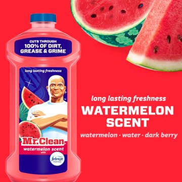 Mr. Clean All Purpose Cleaner - Watermelon