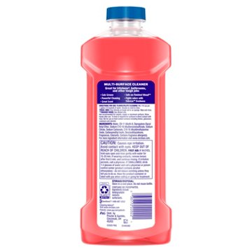 Mr. Clean All Purpose Cleaner - Watermelon