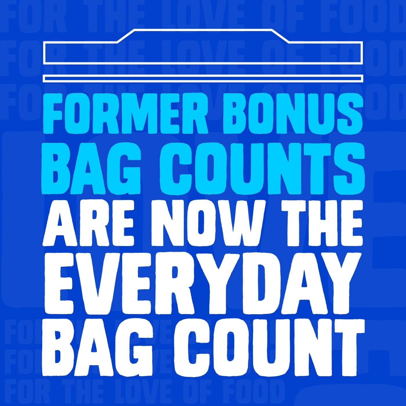 Ziploc Freezer Gallon Bags Mega Pack; image 4 of 10