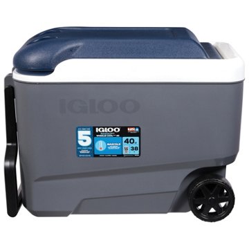 IGLOO MaxCold Latitude Roller Cooler - Carbonite, 40 qt