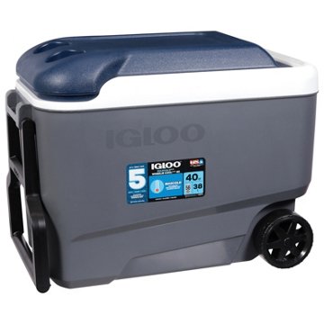 IGLOO MaxCold Latitude Roller Cooler - Carbonite, 40 qt