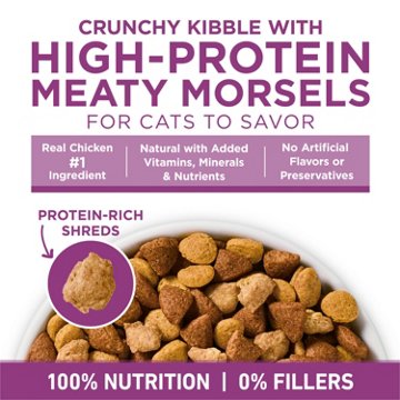 Purina ONE Plus Whole Body Support Dry Cat Food - Chicken