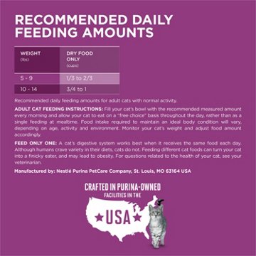 Purina ONE Plus Whole Body Support Dry Cat Food - Chicken