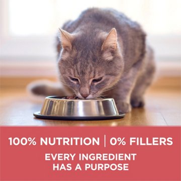 Purina ONE Plus Indoor Advantage Dry Cat Food - Salmon