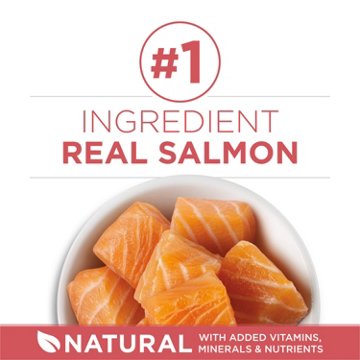 Purina ONE Plus Indoor Advantage Dry Cat Food - Salmon