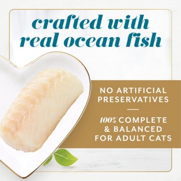 Fancy Feast Gems Pate Mousse Wet Cat Food - Ocean Fish