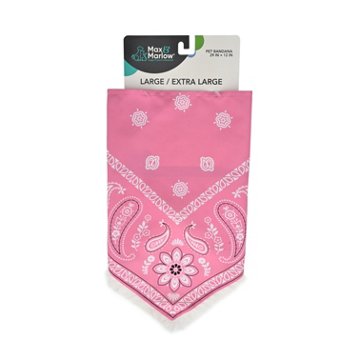 Max & Marlow Pink Bandana