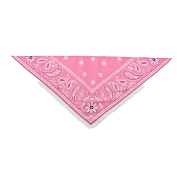 Max & Marlow Pink Bandana