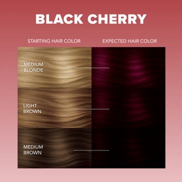Splat Semi-Permanent Hair Color - Midnight Black Cherry