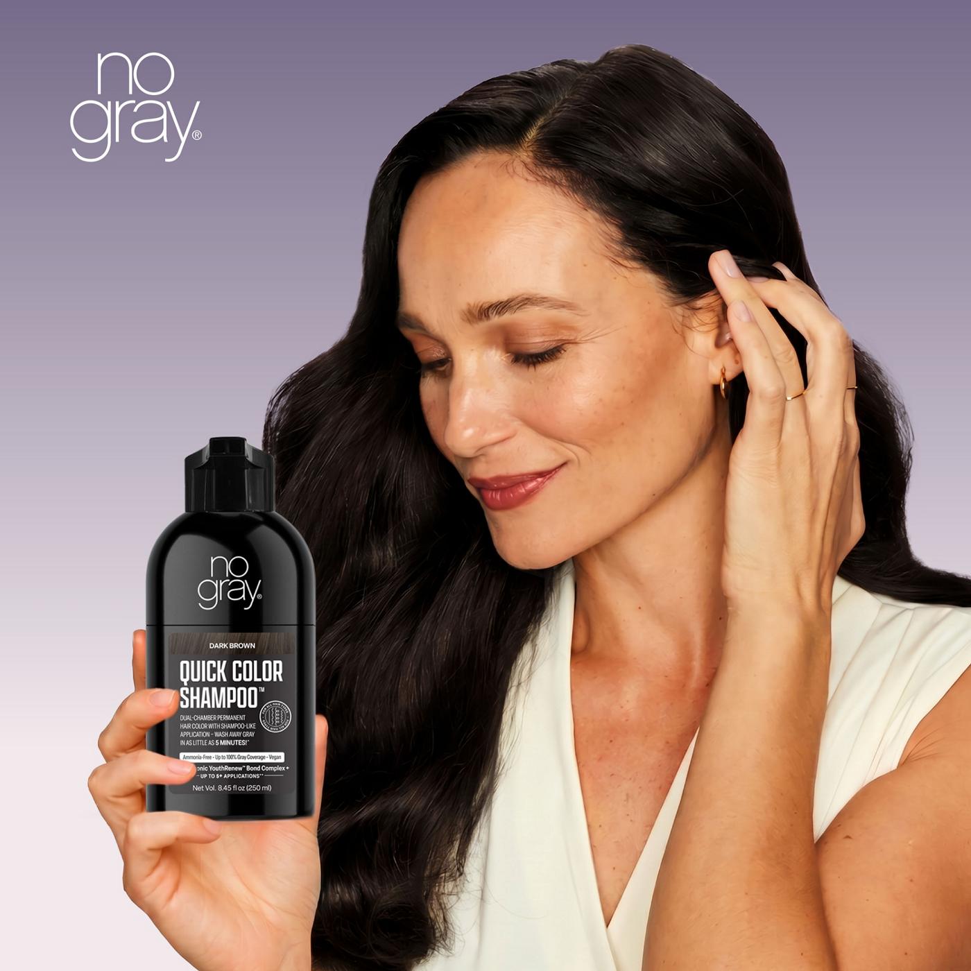 No Gray Quick Color Shampoo - Dark Brown - Shop Hair color at H-E-B