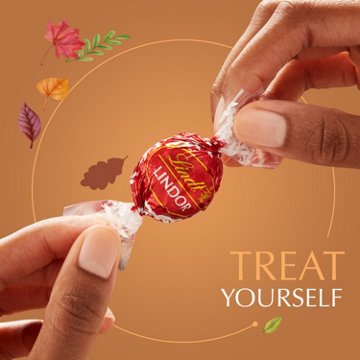 Lindt Lindor Assorted Chocolate Truffles