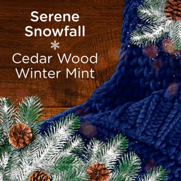 Downy Scent Booster Beads - Cozy Serene Snowfall