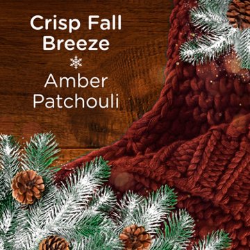 Downy Scent Booster Beads - Cozy Crisp Fall Breeze