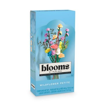 Play-Doh Blooms Wildflower Petite Bouquet Kit