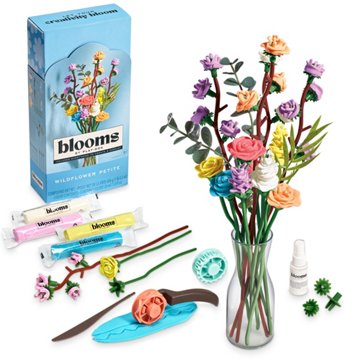Play-Doh Blooms Wildflower Petite Bouquet Kit