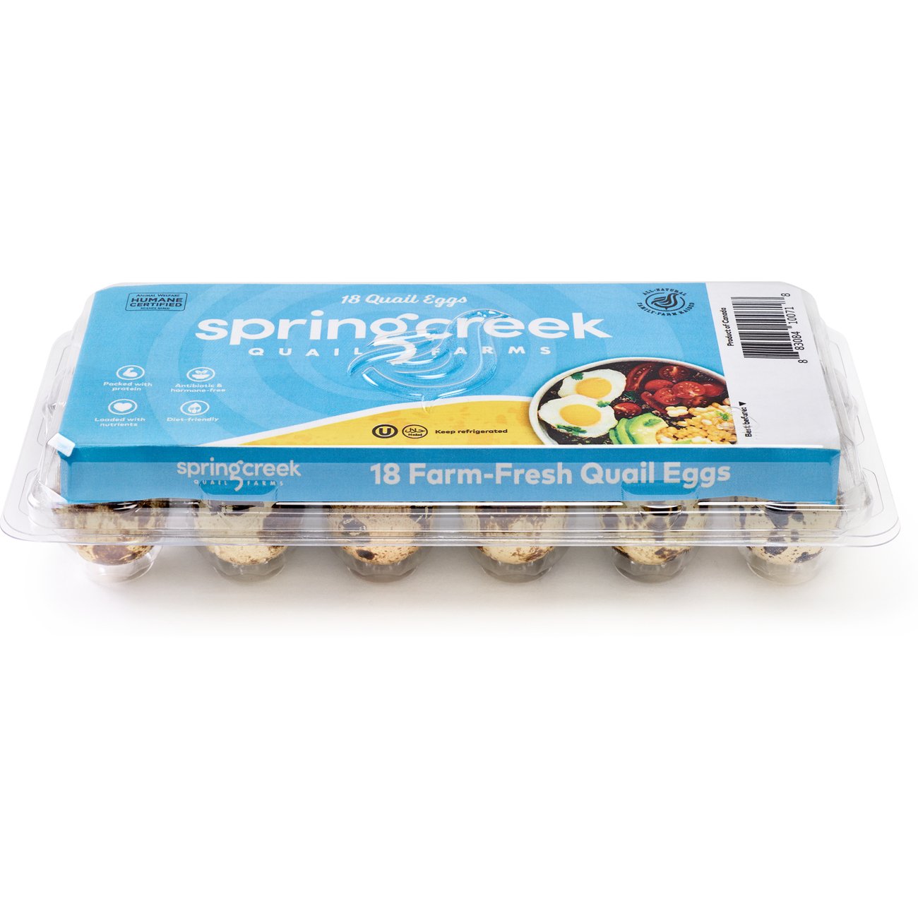 Spring Creek Quail Farms Quail Eggs - Shop Eggs & egg substitutes at H-E-B