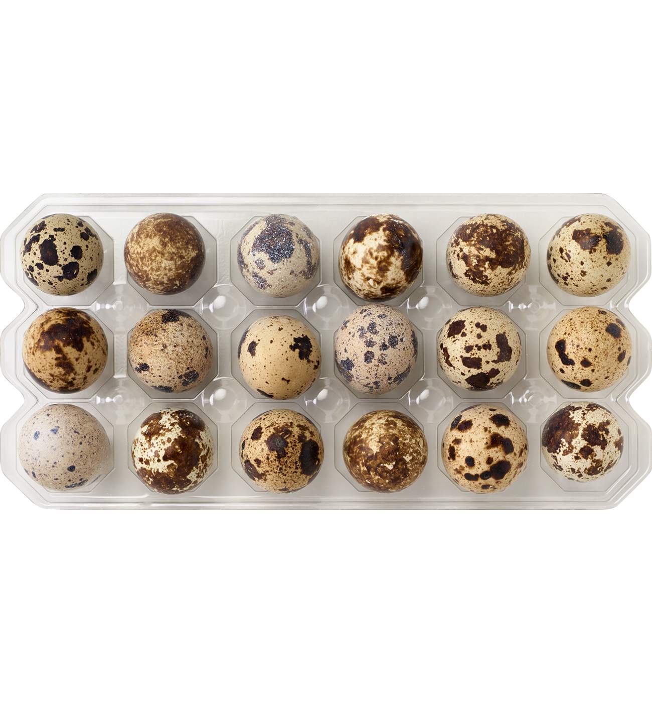 Spring Creek Quail Farms Quail Eggs - Shop Eggs & egg substitutes at H-E-B