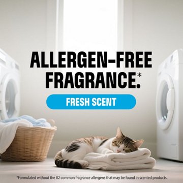 Clorox Pure Allergen Fabric and Carpet Spray - Fresh Scent, 26 oz