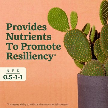 Miracle-Gro Indoor Plant Food For Cactus & Succulents, 8 oz