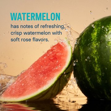 Liquid I.V. Watermelon Hydration Multiplier Electrolyte Drink Mix, 12 ct