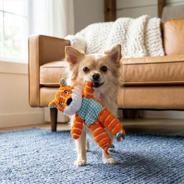 Kong Floppy Knots Fox Dog Toy - XS