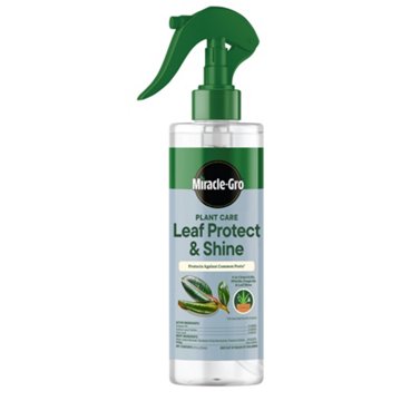 Miracle-Gro Leaf Protect & Shine Spray, 8 oz